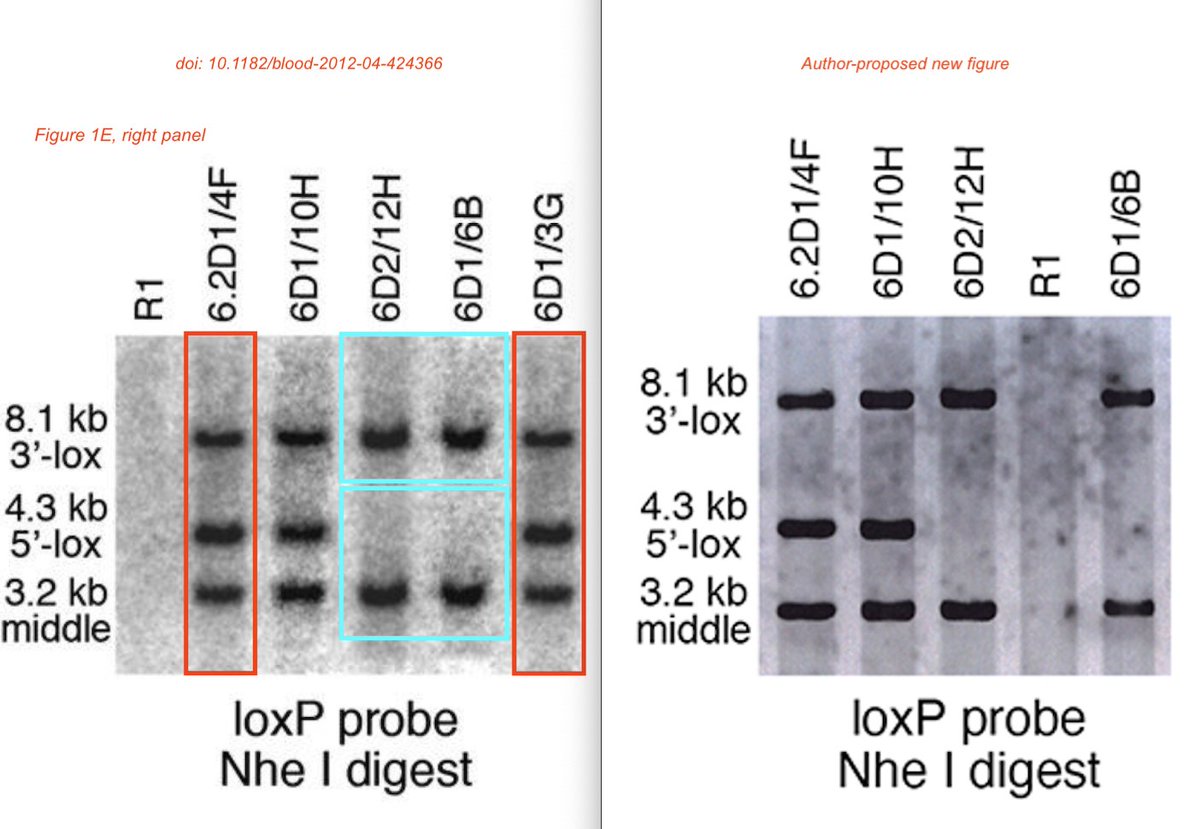 Elisabeth Bik tweet media