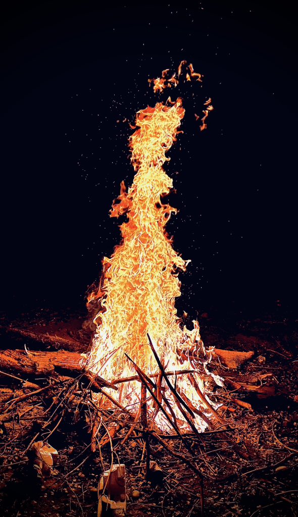 Buck00Carter tweet media