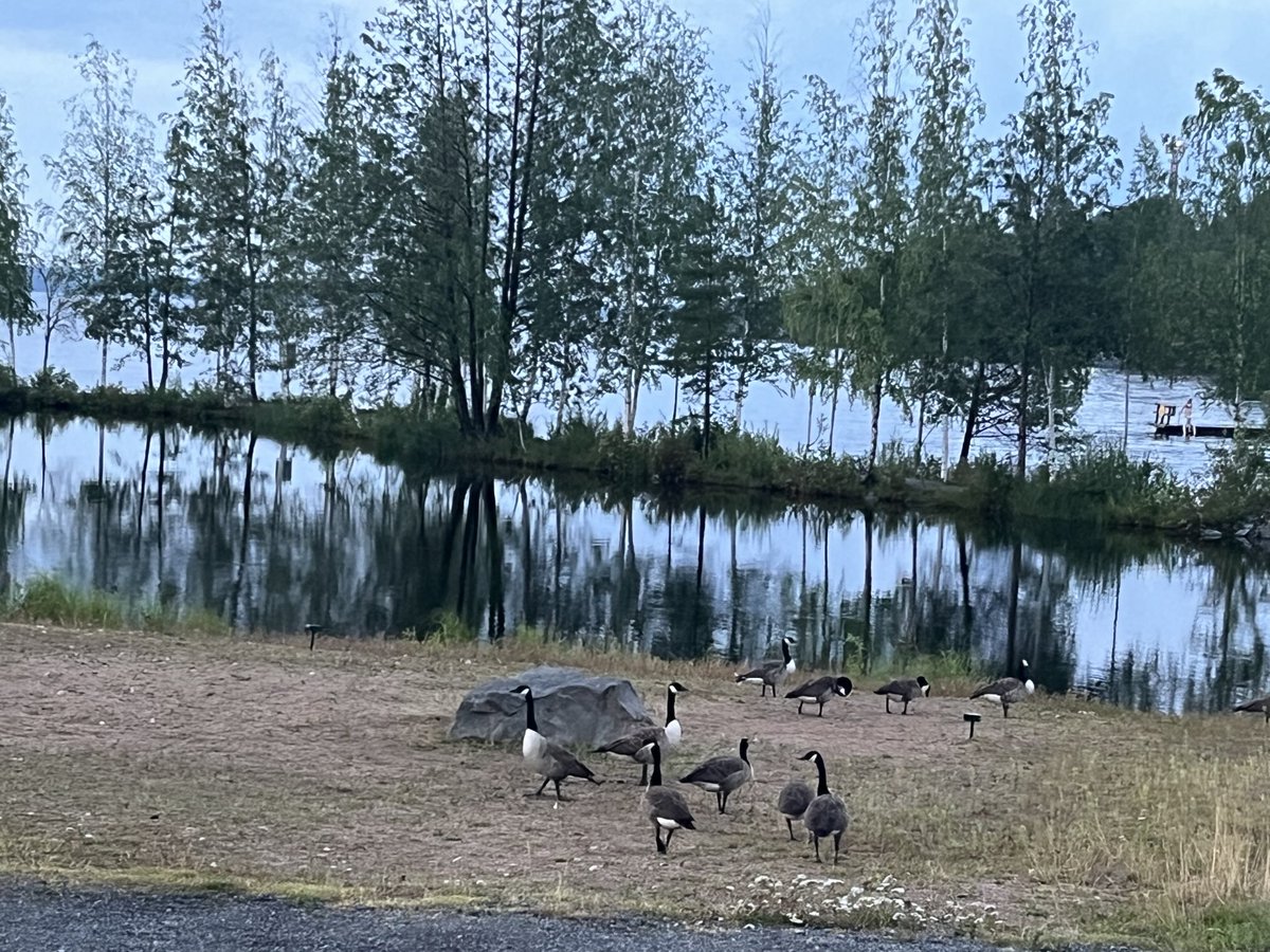 Hyvää yötä❤️

#heinäkuu2025