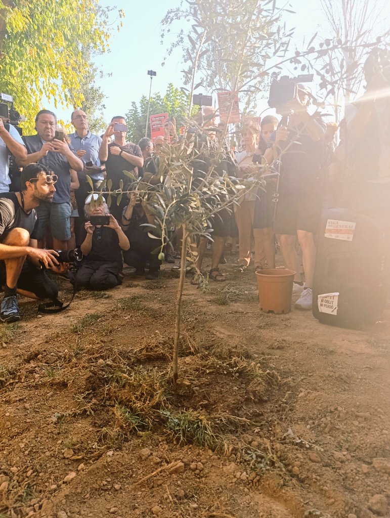 9 mesos després, seguim exigint justícia, memòria i reparació. #Catarroja s'ha omplit de dignitat. Gràcies!
#MazonDimissio