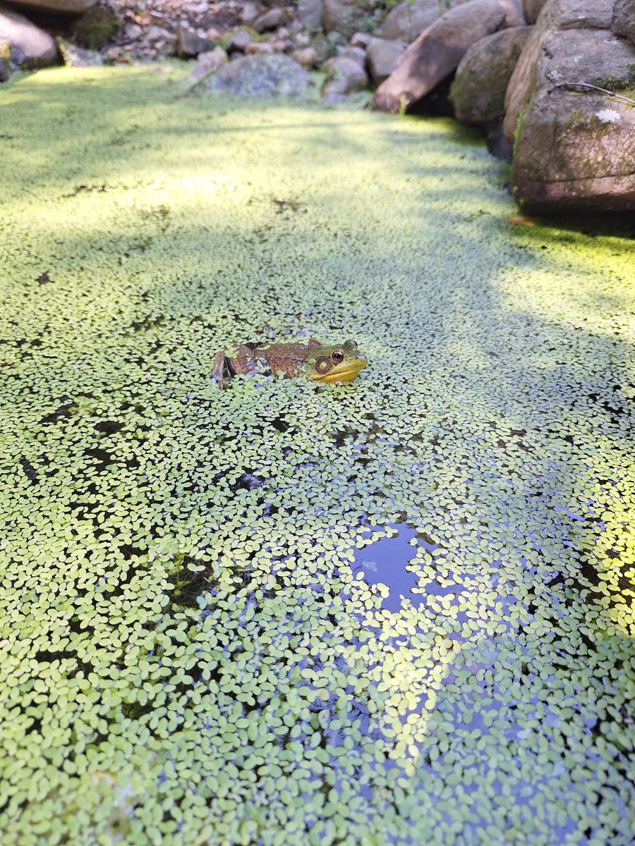 Fan of the Era 🔻 tweet media