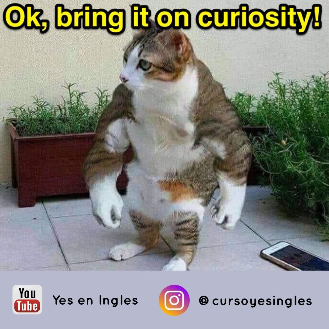 cosasdelingles's tweet photo. 💪 “Ok, bring it on curiosity!”

📘 Bring it on = ¡Que venga! / ¡Estoy listo!
Se usa para mostrar que estás preparado para un reto... incluso si ese reto es el inglés 😤

🧠 Curiosity killed the cat... pero este gato no se deja. ¿Y tú? https://t.co/3mvzKV5yFe