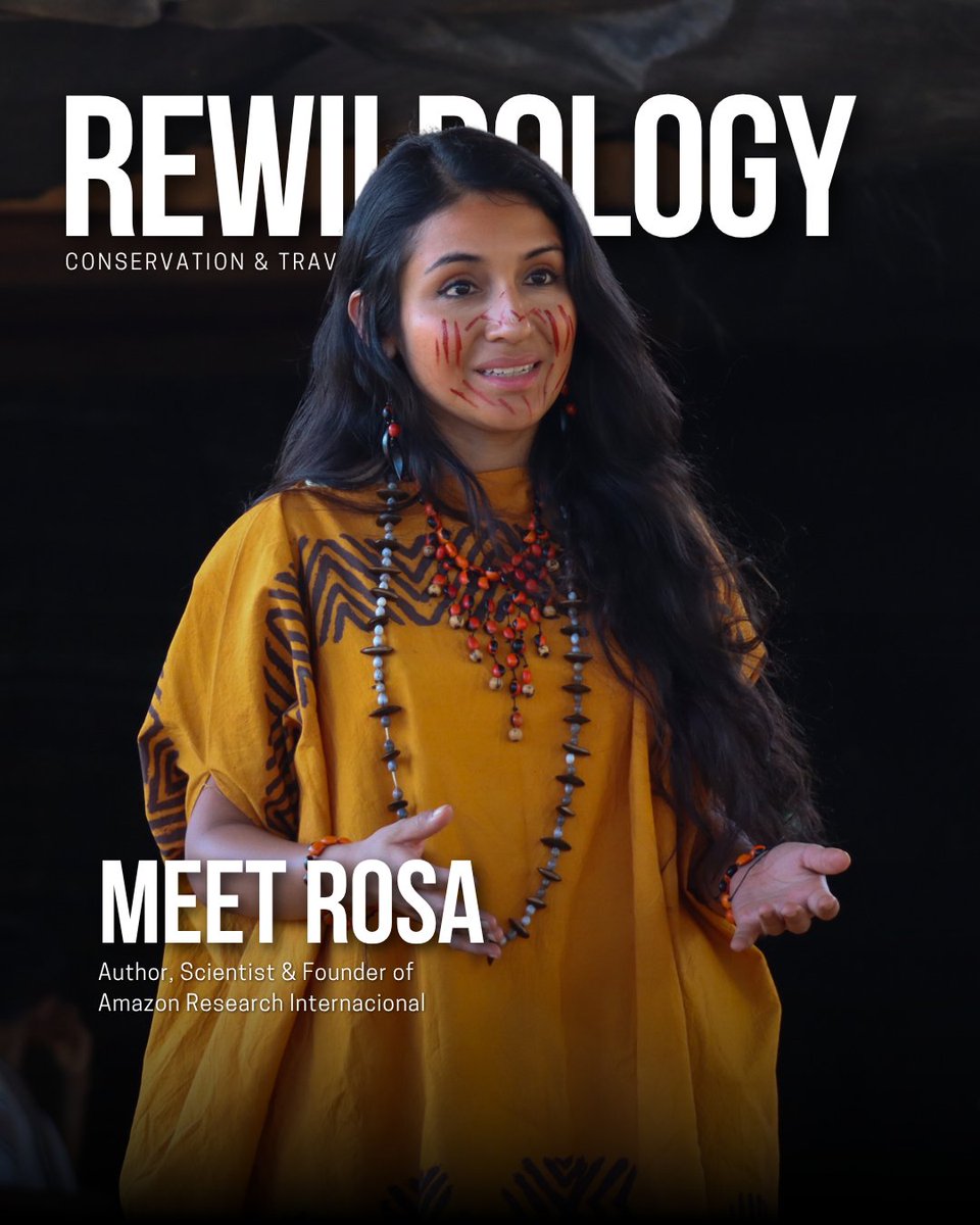 rewildology's tweet photo. New episode with Dr. Rosa Espinoza! From Amazon childhood to groundbreaking stingless bee research—how indigenous wisdom + modern science = conservation breakthroughs 🐝 https://t.co/Ge9p57NCvn