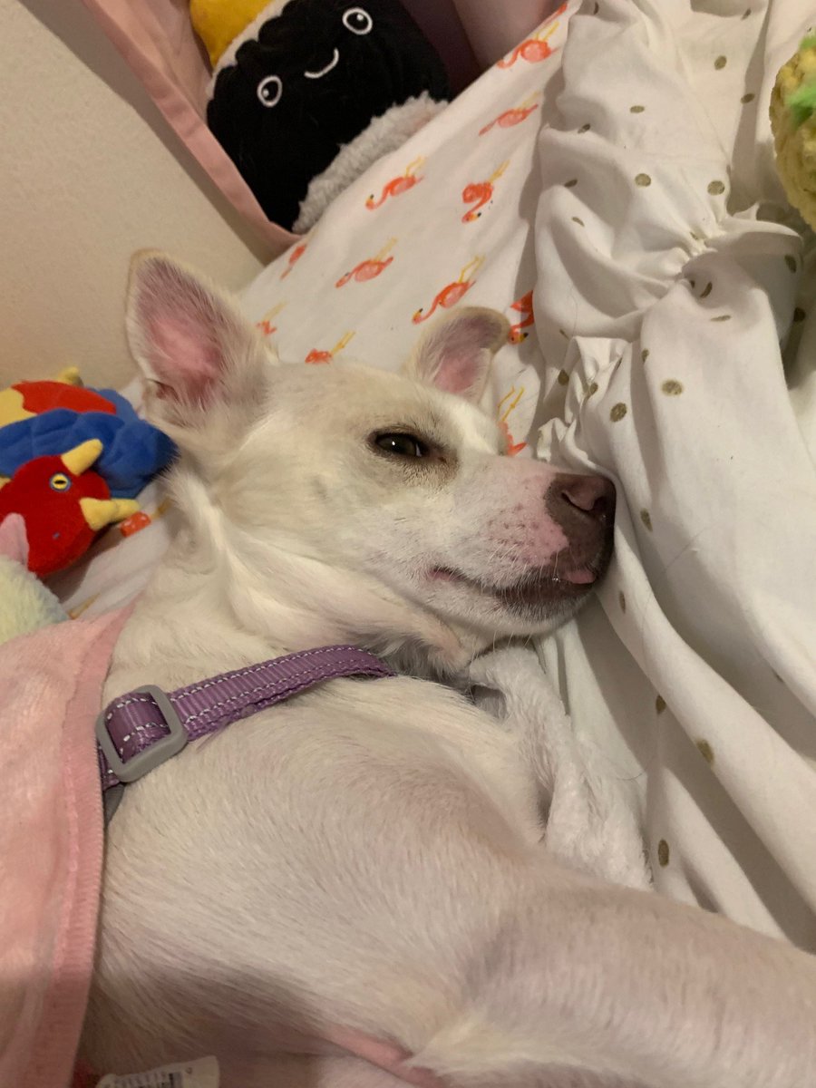 Exquisite Lore 🇵🇸🍉🏳‍🌈🐀 tweet media