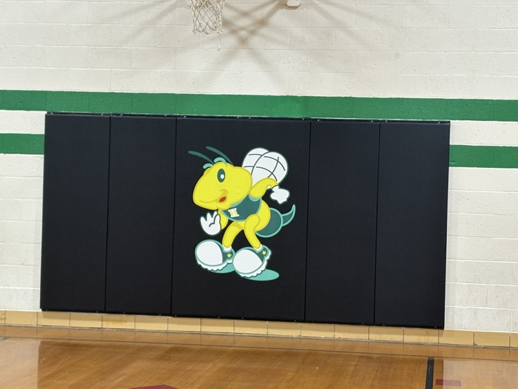A HUGE thank you to our Parent Mentor Group who raised money on their own account to purchase a new mat for our gym wall.  It looks amazing hanging in our gym.  Go Hornets! 💚🐝💛