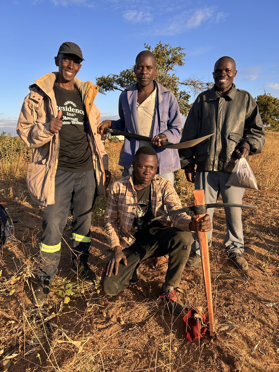 Clive Mitchell 💙 (@clivebgs) on Twitter photo After the blessing from Her Royal Highness Chieftainess Mumbi of the Nsenga people, #graphite field work in #Zambia got underway in earnest today with the <a href="/BritGeoSurvey/">British Geological Survey</a> <a href="/ZambiaMines/">Ministry of Mines and Minerals Development | GRZ</a> <a href="/CBU_ZM/">The Copperbelt University</a> team visiting prospective sites in Petauke District, Eastern Province #criticalminerals After the blessing from Her Royal Highness Chieftainess Mumbi of the Nsenga people, #graphite field work in #Zambia got underway in earnest today with the <a href="/BritGeoSurvey/">British Geological Survey</a> <a href="/ZambiaMines/">Ministry of Mines and Minerals Development | GRZ</a> <a href="/CBU_ZM/">The Copperbelt University</a> team visiting prospective sites in Petauke District, Eastern Province #criticalminerals