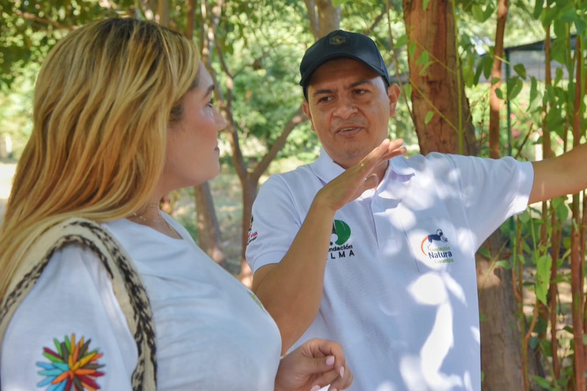 Gobernación del Cesar tweet media