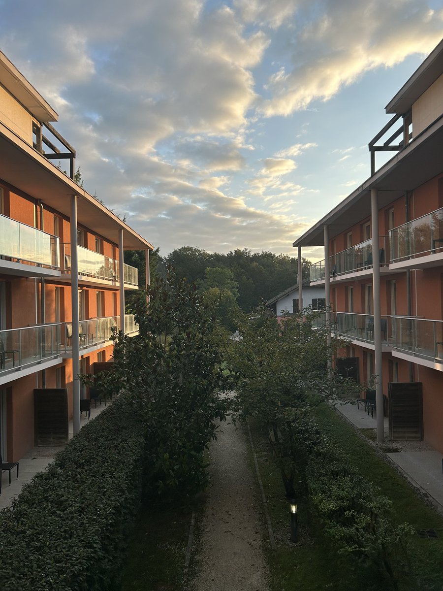 𝘽𝙍𝙔𝙉. 🇨🇩 tweet media