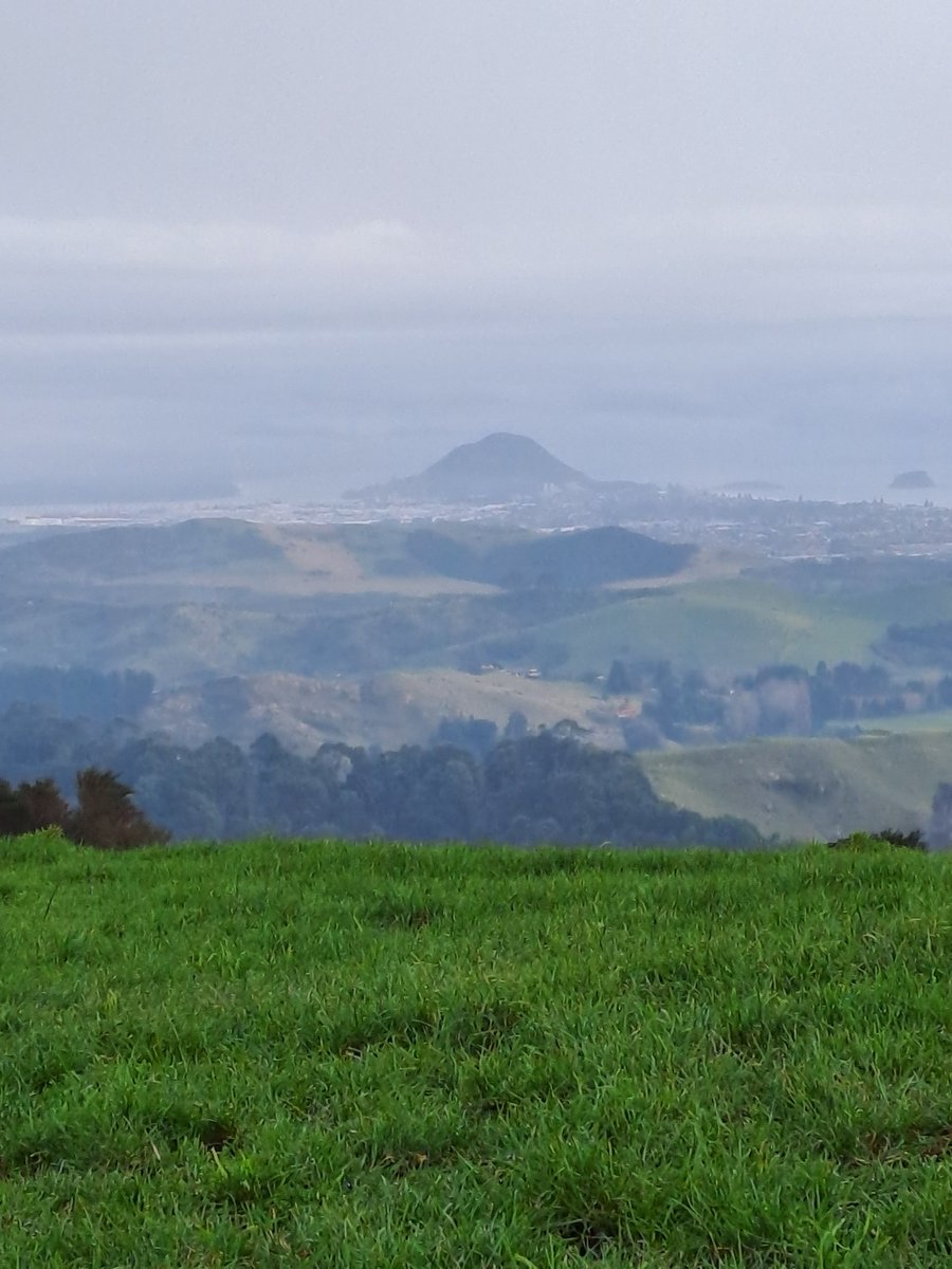 'No man knows how bad he is till he has tried very hard to be good.' (C.S. Lewis)