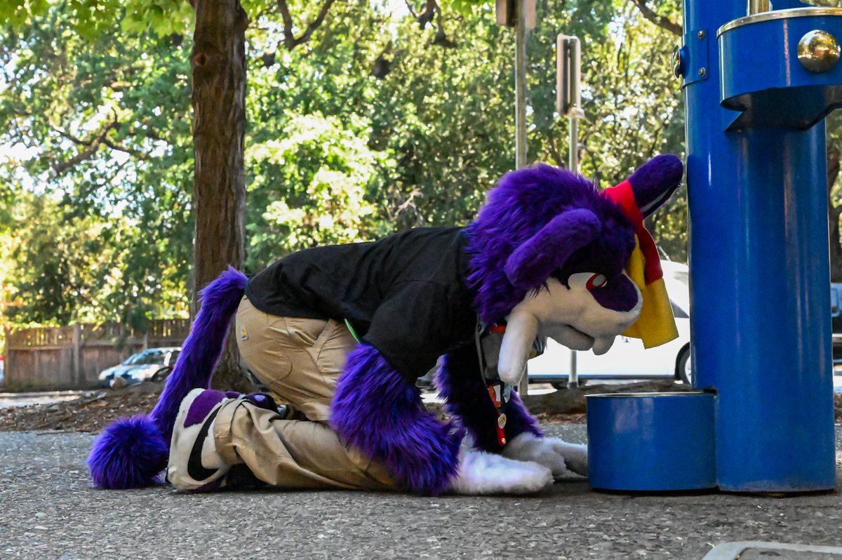 It's so nice to find convenient amenities for pets at the park. 🥰
#fursuiting
📸 <a href="/Veehicles/">Vee</a> 
🧵 <a href="/SiegeDaWolfsky/">Siege@PawCon2025</a>