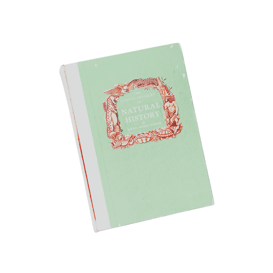 𝓣𝒉𝒆 𝓦𝒂𝒍𝒌𝒆𝒓 . tweet media