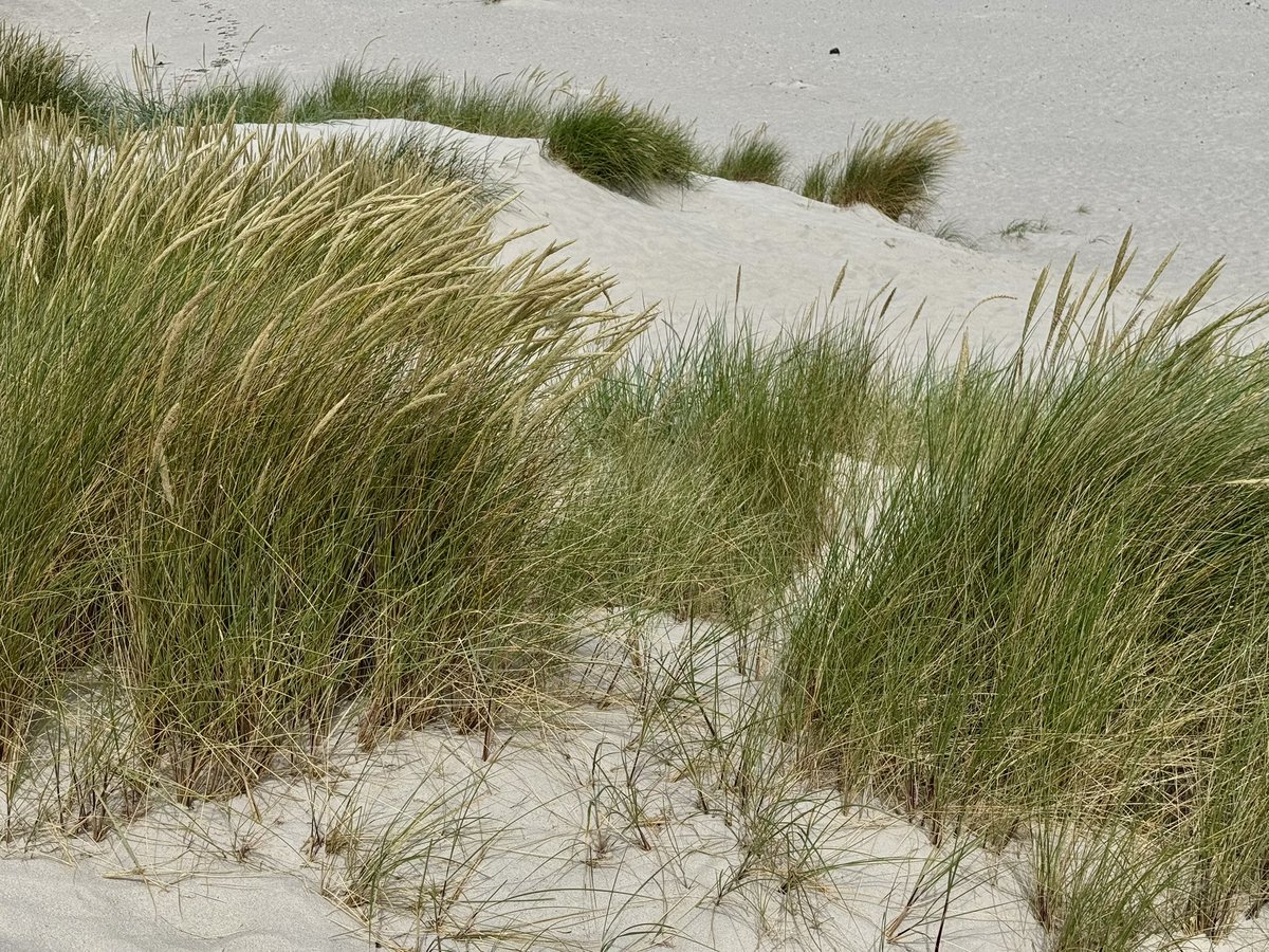 Frische Meeresluft tanken auf Sylt