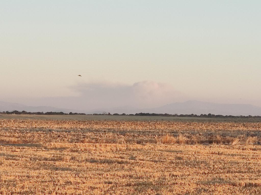 Así se ve la animalada de incendio de #IFCuevasDelValle #IFMombeltran desde el sur de Valladolid, ánimo a los bomberos forestales!