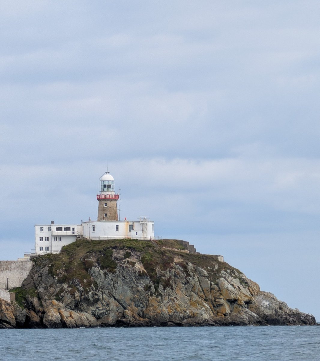 Osdefs 🏳️‍🌈🏳️‍⚧️🍉🇵🇸 tweet media