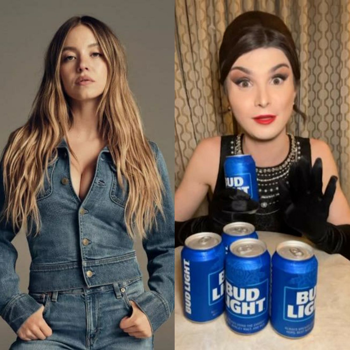If you have a problem with the woman on the left doing commercials for American Eagle jeans but had no issues with the man on the right pretending to be a woman doing beer commercials 
Please seek help. You have a mental disorder