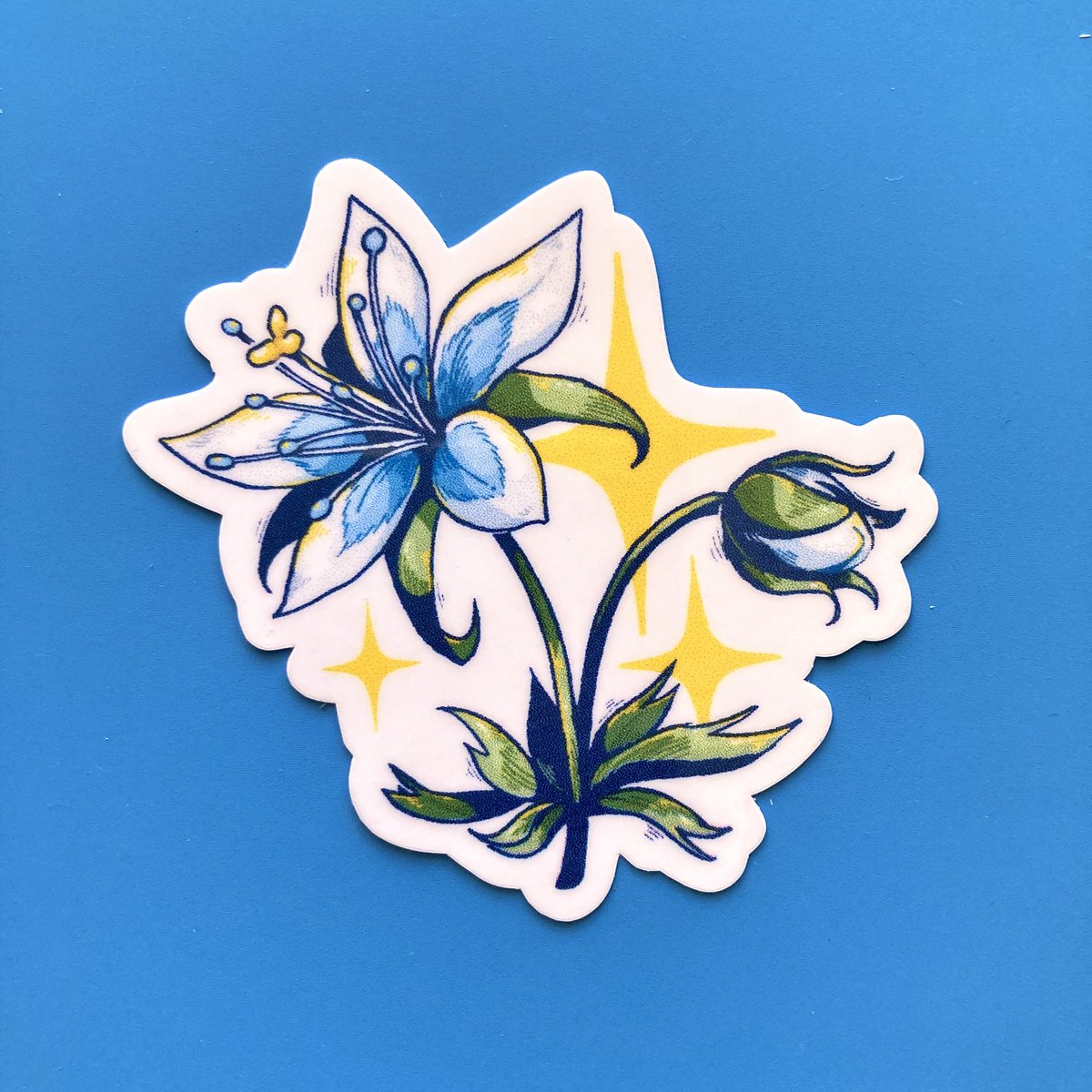 in bloom 🌼