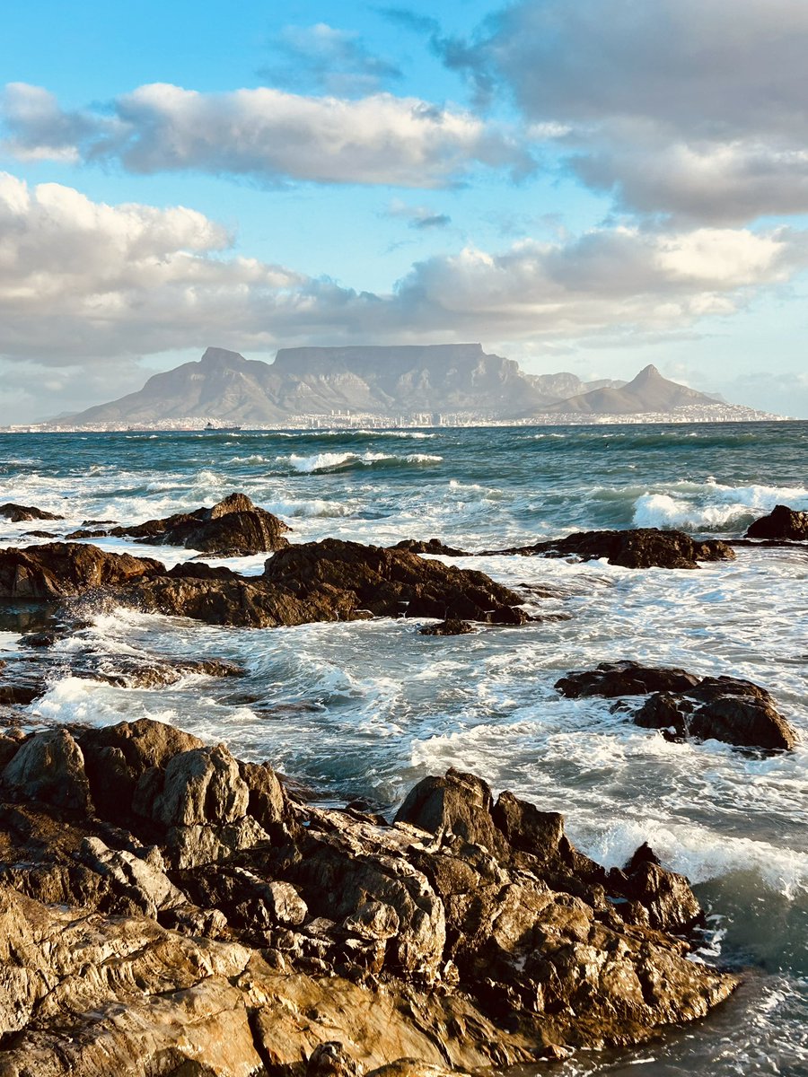 Dimitri GM Stefas tweet media