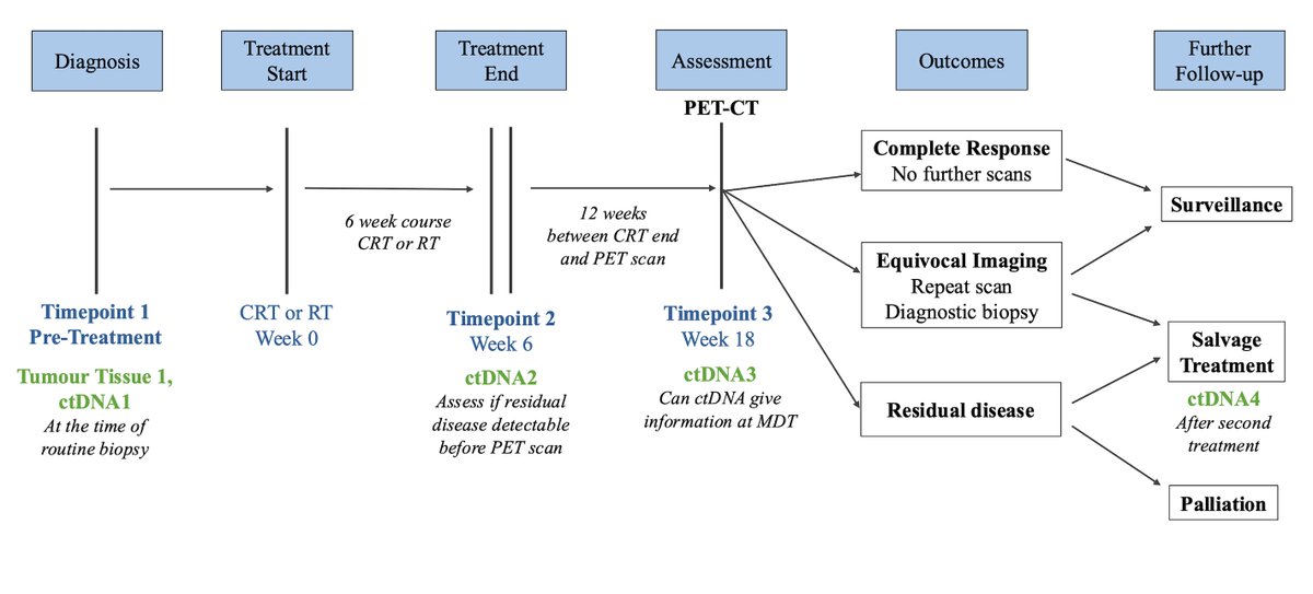 Summy Bola tweet media