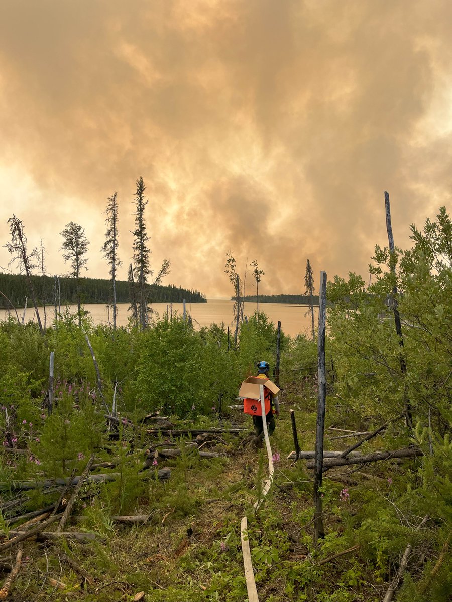 ** BUHL WILDFIRE UPDATE – JULY 29, 2025 – 12 pm CT ** 
For detailed daily updates from Parks Canada and the Saskatchewan Public Safety Agency on the Buhl wildfire, please see the Prince Albert National Park website: parks.canada.ca/panp-fire