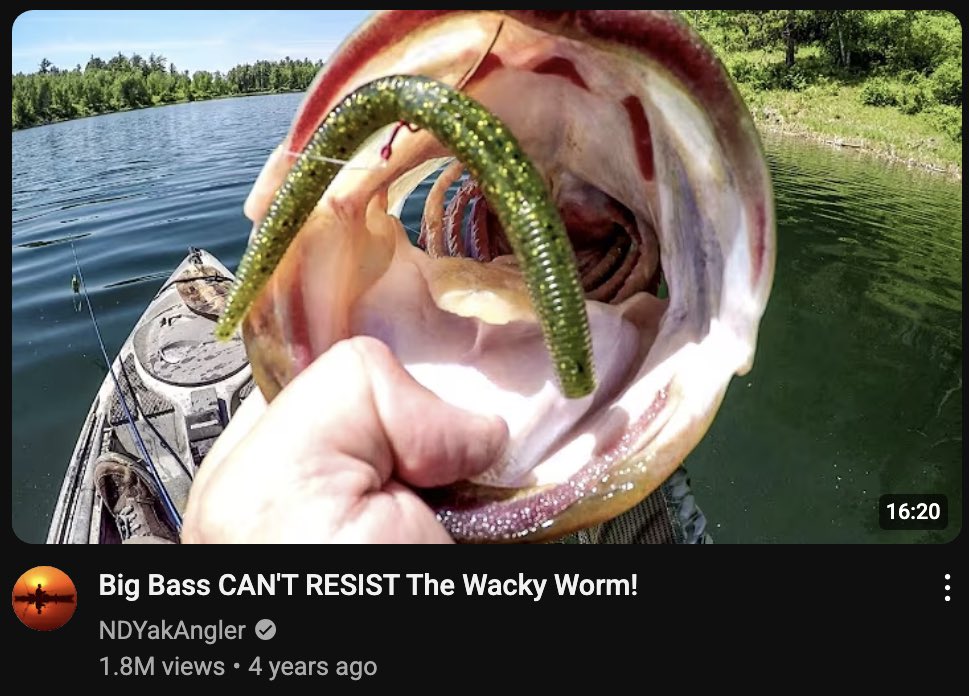 bugsyworm's tweet photo. bass fishing is a joke https://t.co/bJJXzQus4x