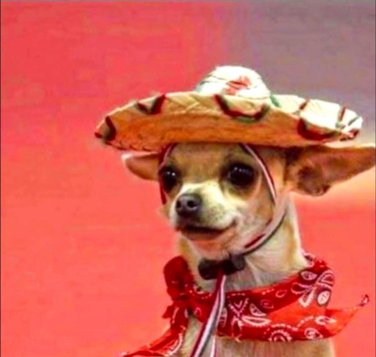 How I feel responding “poquito” when asked if I speak Spanish