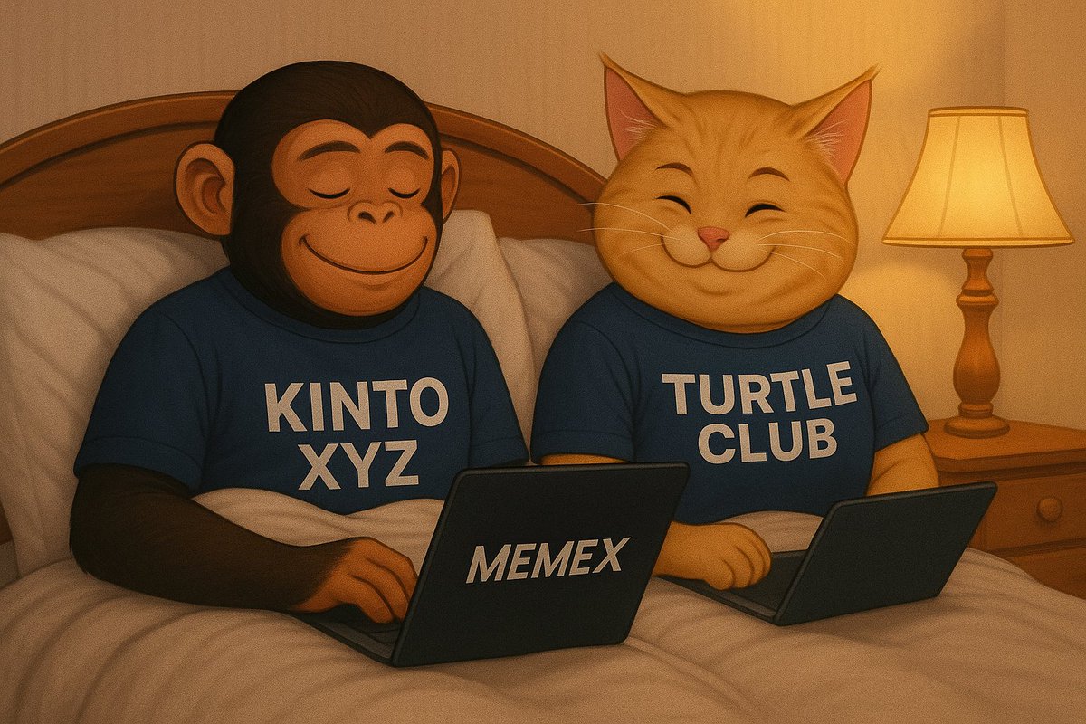 GN CT 😴 💤 say it back 
If believe with this three projects

<a href="/turtledotxyz/">Turtle</a> 
<a href="/KintoXYZ/">Kinto</a> 
<a href="/MemeX_MRC20/">MemeX</a>