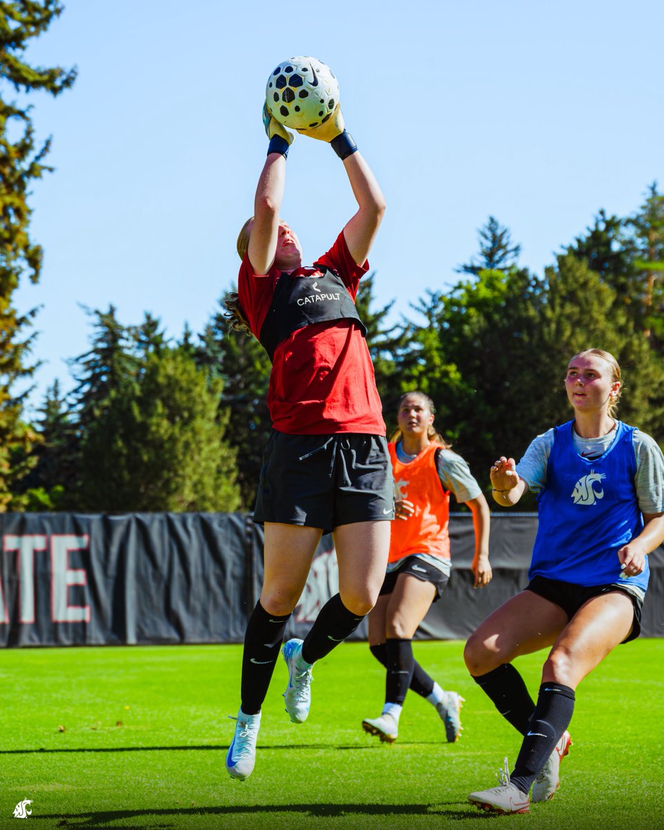 Washington State Soccer tweet media