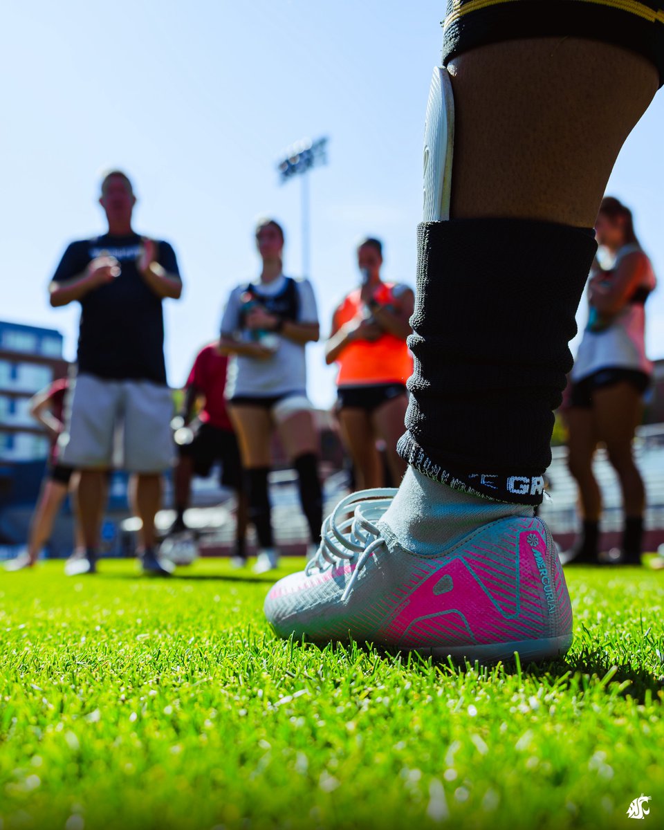 Washington State Soccer tweet media