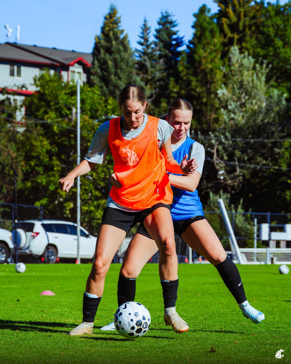 Washington State Soccer tweet media