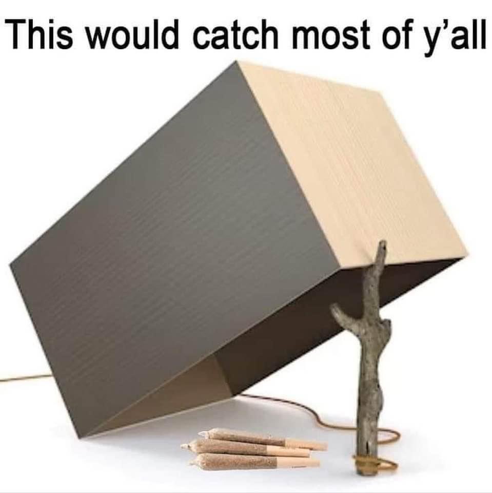 Cannabis Culture (@cannabisculture) on Twitter photo 