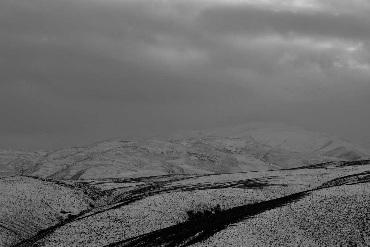 zar.mpour tweet media