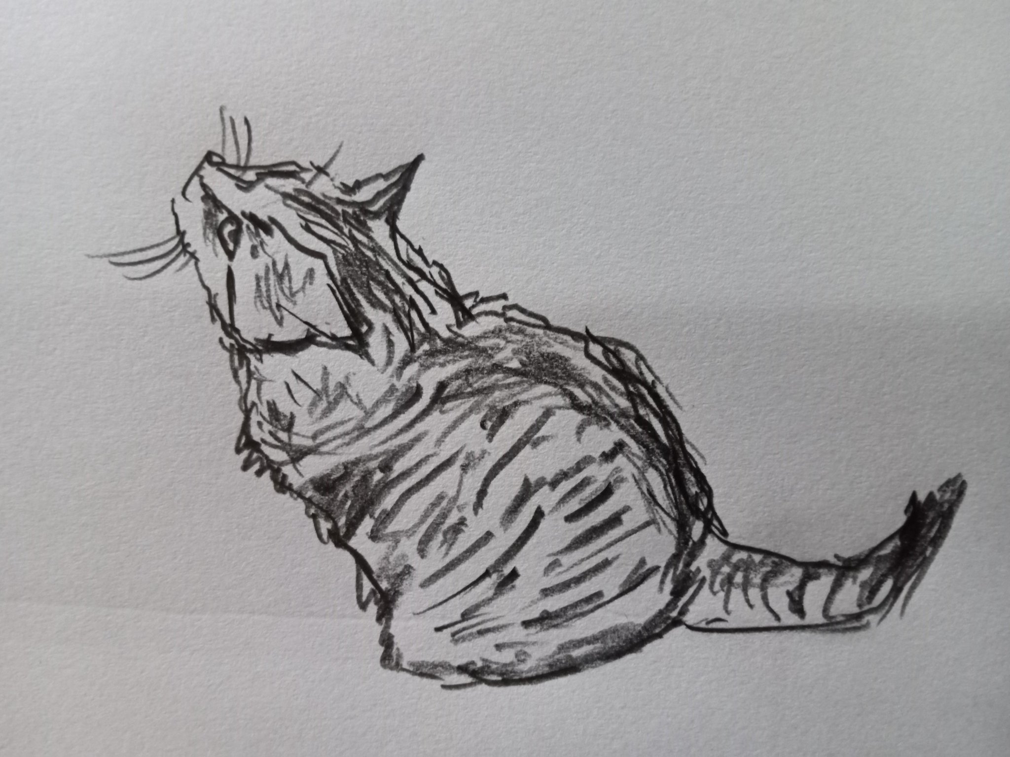猫 原画 #165 猫のちっちゃな原画 6月梅雨 04 イラスト クワハラシホコ 通販