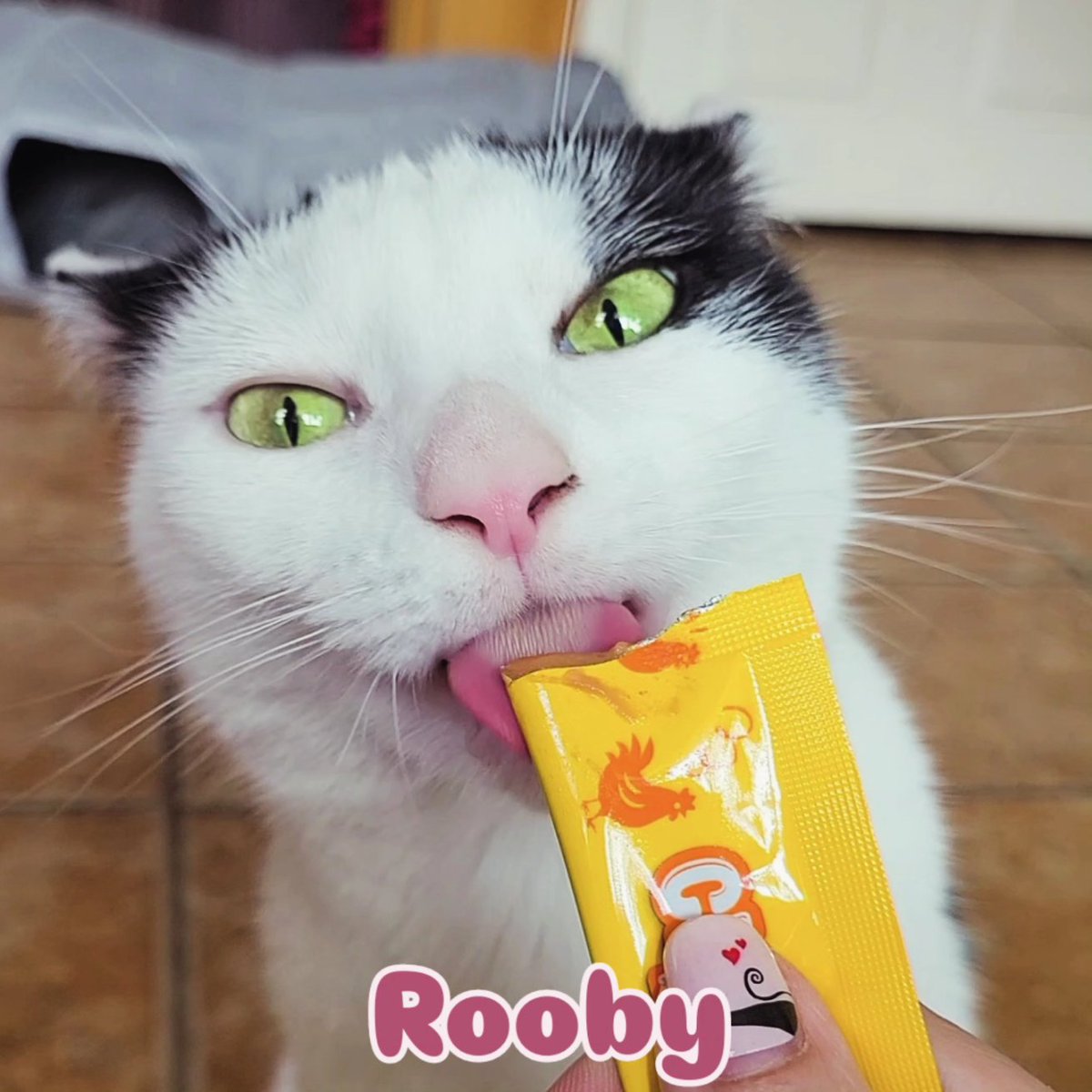 Maxx and Rooby (@maxxandrooby) on Twitter photo ๐โโฌ Happy Tongue Out Tuesday! ๐
๐๐บ๐ป today, we are staying hydrated during this summer heatwave! ๐ฅต We hope mew all are staying cool too! ๐ง๐โโฌ
Please enjoy these tongues out pictures from our pawty over the weekend and have a pawsome day! ๐บ๐ธ๐
#CatsOfX #CatsOfTwitter ๐โโฌ Happy Tongue Out Tuesday! ๐
๐๐บ๐ป today, we are staying hydrated during this summer heatwave! ๐ฅต We hope mew all are staying cool too! ๐ง๐โโฌ
Please enjoy these tongues out pictures from our pawty over the weekend and have a pawsome day! ๐บ๐ธ๐
#CatsOfX #CatsOfTwitter