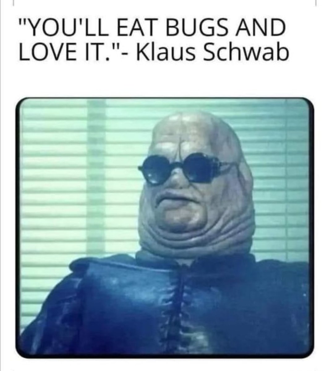 illuminatibot tweet media