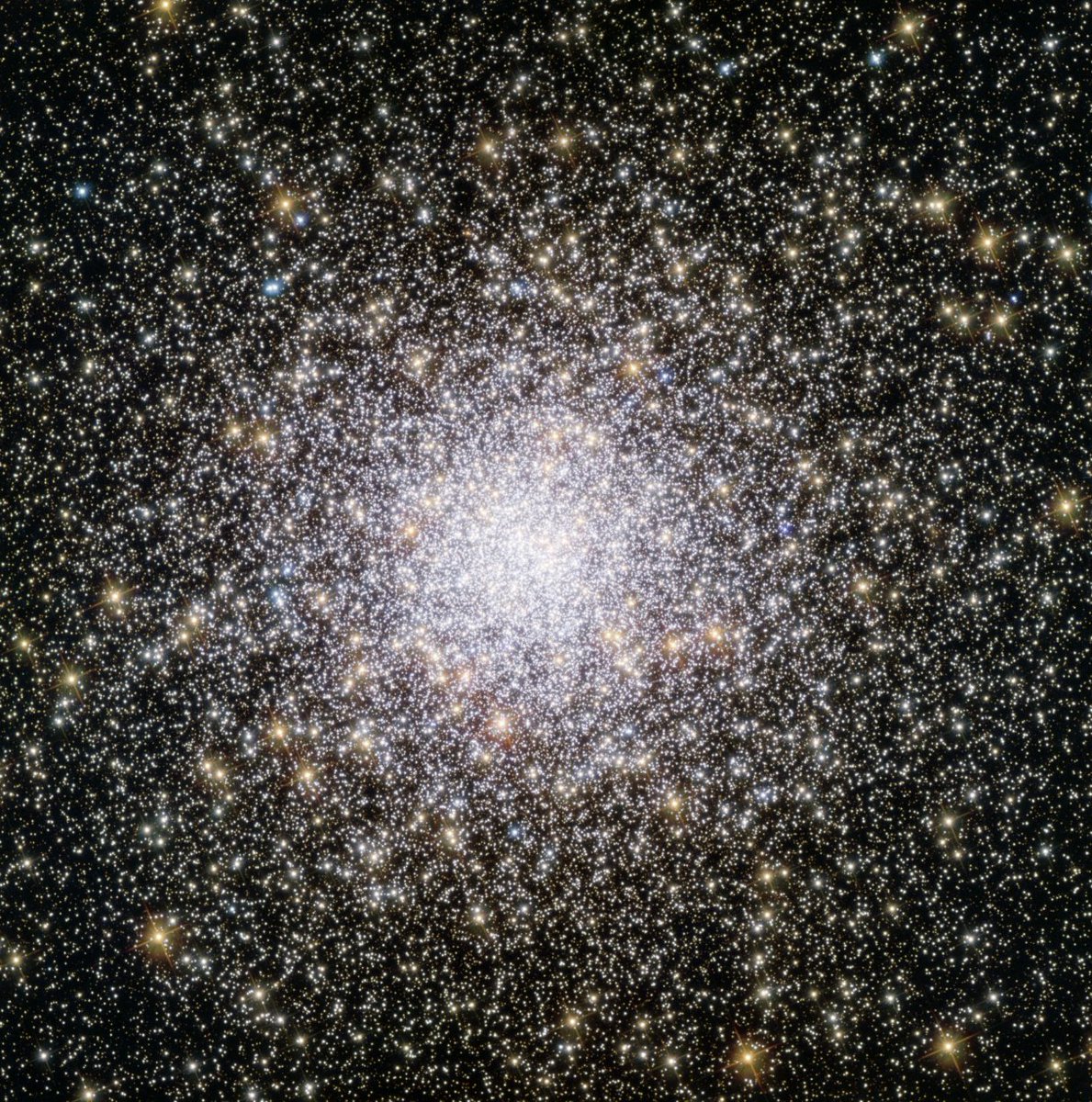 A sky full of stars 🌟

Globular clusters are roughly spherical groups of stars, held together by gravity.

This cluster is named NGC 362 – one of over 150 globular clusters in our home galaxy, the Milky Way: go.nasa.gov/4mmGUln
