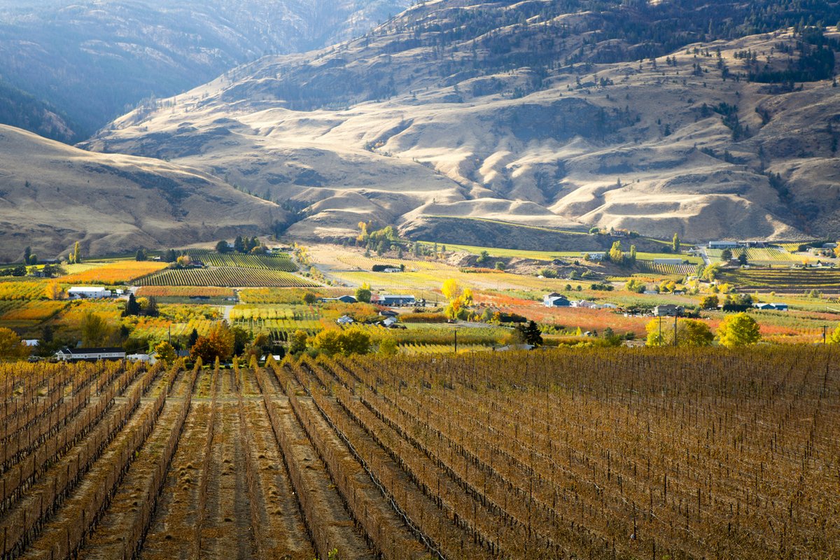 Did you know BC’s only desert is in Thompson Okanagan? 🏜️

Explore vineyards, lakeside towns &amp; desert landscapes this summer.

Follow us for more BC’s hidden regions.

#BritishColumbiaDotCom #ThompsonOkanagan