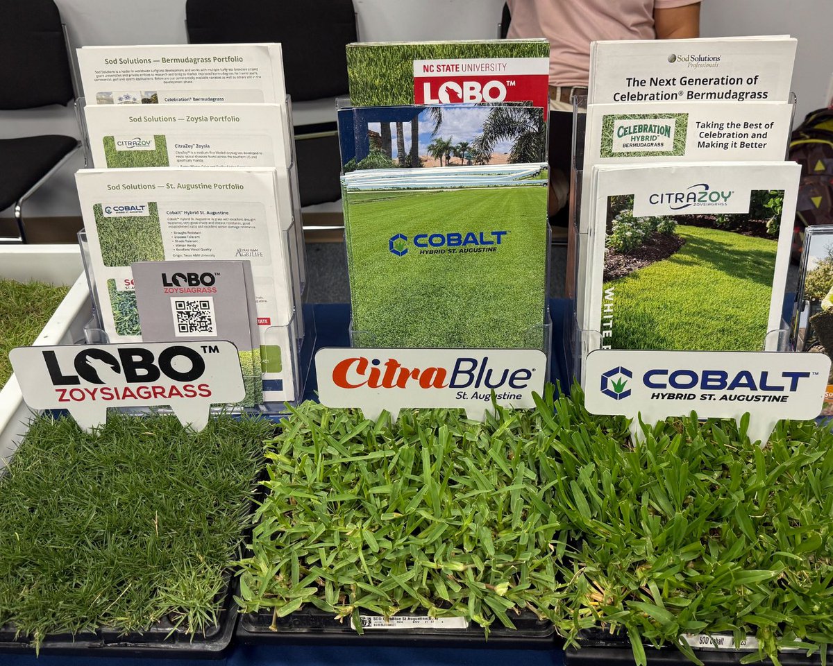 SodSolutions's tweet photo. We enjoyed hearing from Dr. Gazis, Dr. Petelewicz, & Dr. Kenworthy at the @FloridaTGA Summer Seminar in Davie, FL! Great insights on turf challenges & new grasses for South Florida—exciting things ahead for varieties like #CitraZoy #CitraBlue #LoboZoysia & #CobaltStAugustine. https://t.co/Jm7kZhNsjy