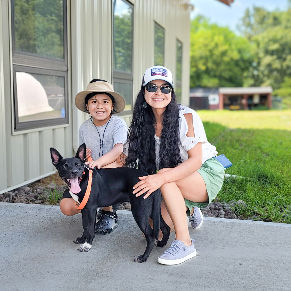🎉 Avani has been adopted! This sweet pup found her forever home! Thank you to her new family for choosing adoption! 🐾 #AdoptDontShop #MiddletownNYShelter #AdoptedDog #RescueDog #HappyTails