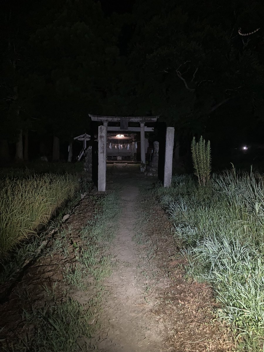 霊感写真 車で10分のところに心霊スポットあったので友達3人と行ってきた。 友達