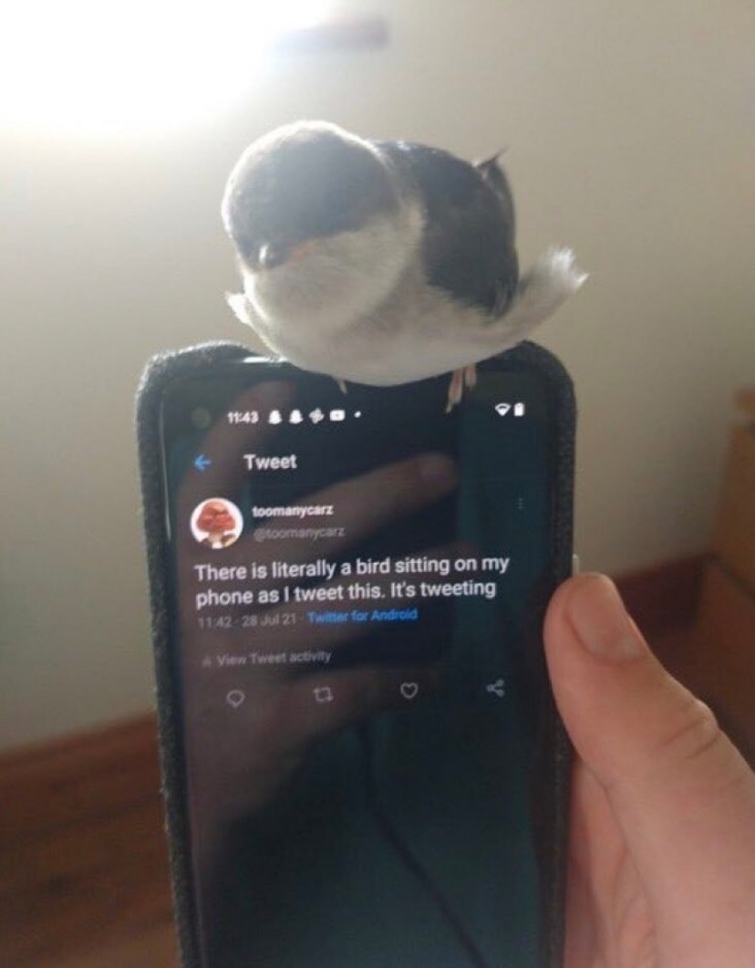 stxrinsky's tweet image. 