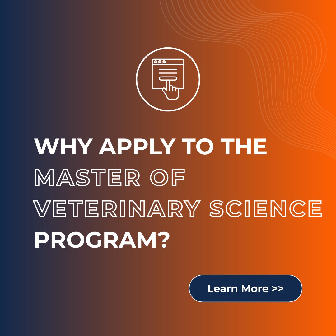 Grad_ILVetMed's tweet photo. Wondering why you should apply to the Master of Veterinary Science program?  Swipe through to read about some of our program offerings to see if it's the right fit for you.

Check out our website to learn more about the MVS program: https://t.co/RwW31dP0wx

#GradProgramsILVetMed https://t.co/nywxAmUpr3