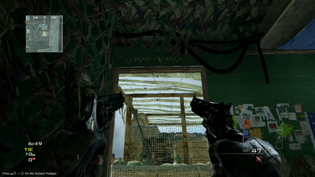 reve saili tweet media