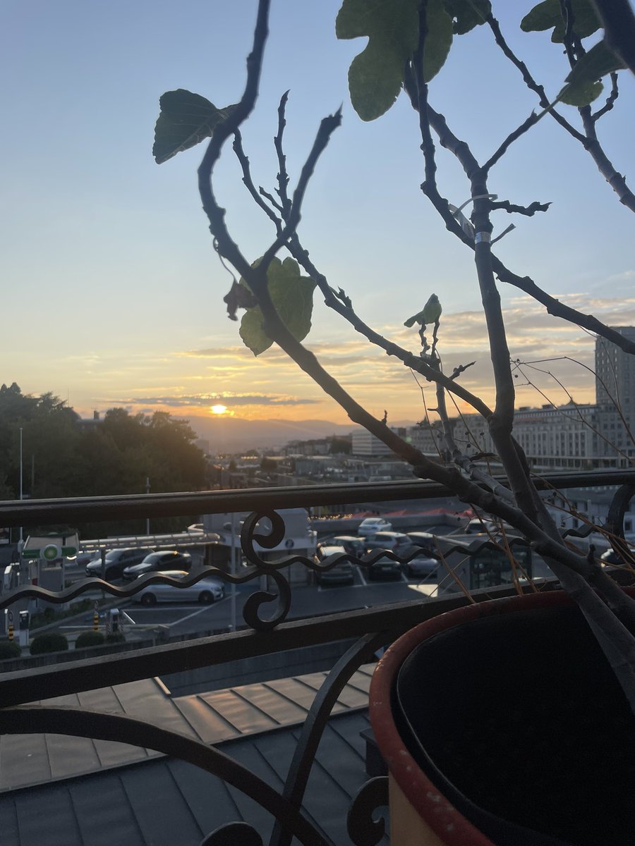 Thank you <a href="/swissborg/">SwissBorg</a> for this wonderful time 🤩🙏💚