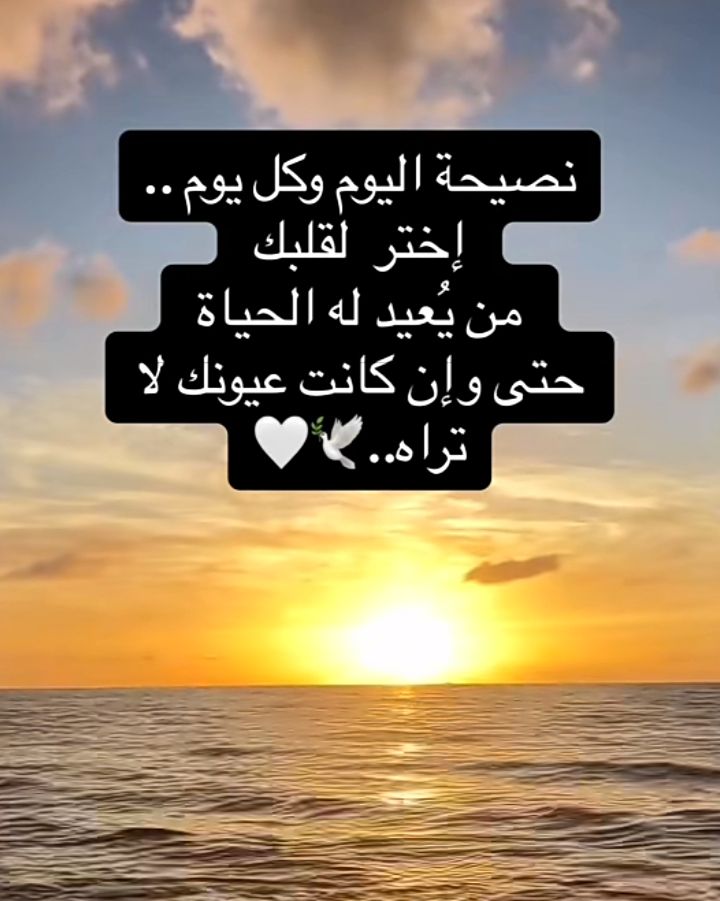 خالد ابو محمد ٢١/ اكتوبر 1966 (@kha41180131) on Twitter photo 