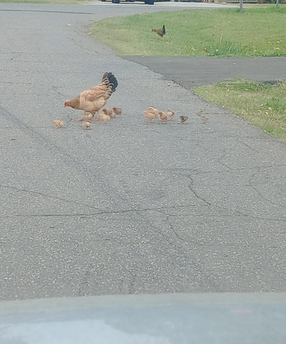 HOLY SHIT THEY'RE DOING THE THING