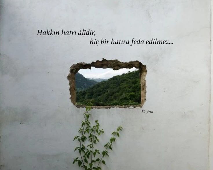 Edebiyat Cephesi (@edebiyatcephesi) on Twitter photo 