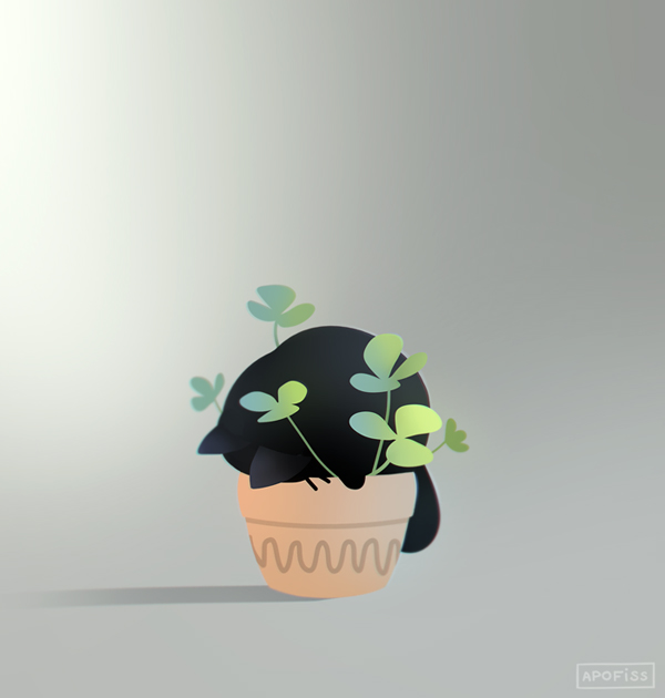 apofissx tweet picture