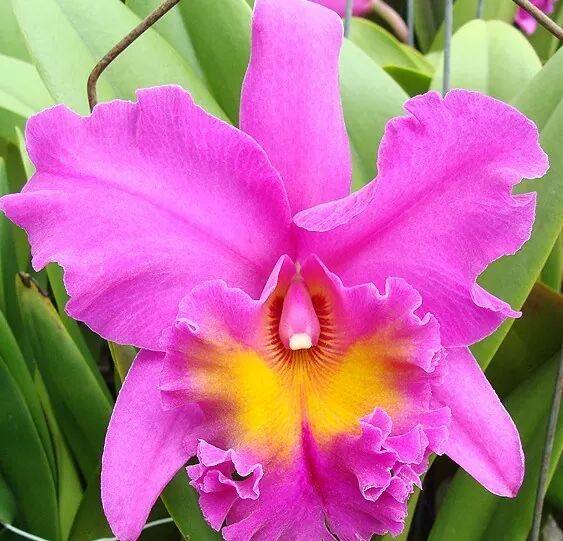 <a href="/MlOlga/">OlgaML</a> <a href="/AnnaFelappi/">Anna Felappi</a> <a href="/TulipPenney/">Tulip Penney</a> <a href="/OMarlene094527/">OMarlene</a> <a href="/sofia_covaci/">Sofia Covaci</a> <a href="/charlet_charlet/">Charlet🇷🇴</a> <a href="/MMumteanu/">Mariana Munteanu</a> <a href="/kohaku0842dai/">琥珀</a> <a href="/Stonegate4me/">DJB</a> <a href="/ASoundworks/">Amix-Soundworks 暫く不定期投稿になります🙇‍♀️</a> <a href="/musubidou1/">musubidou</a> <a href="/geomesender/">Lucian</a> <a href="/y9dEDLkXxEcfuWn/">eri</a> <a href="/shishiza777/">獅子座 (Leo)</a> <a href="/Murat192323/">🩵0538 572 6753🩵 Pelin Whatsapp</a> <a href="/andhaiku/">& Haiku</a> <a href="/VasilePlinta/">𝓥𝓪𝓼𝓲𝓵𝓮 🛡️</a> <a href="/TatanaP97779703/">Татьяна Попова</a> <a href="/LoveSongs4Peace/">Tina Koskima 🕊️</a>