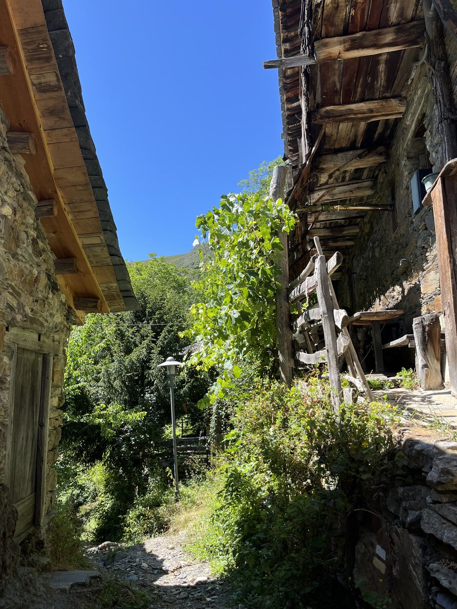 o bierzo ceibe