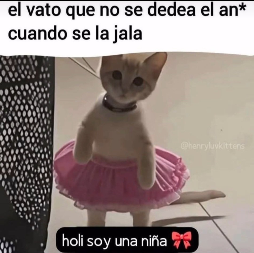 SalsiAmor (@salsamir_) on Twitter photo 